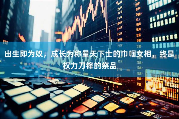 出生即为奴，成长为称量天下士的巾帼女相，终是权力刀锋的祭品