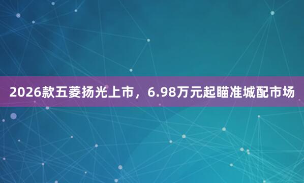 2026款五菱扬光上市，6.98万元起瞄准城配市场