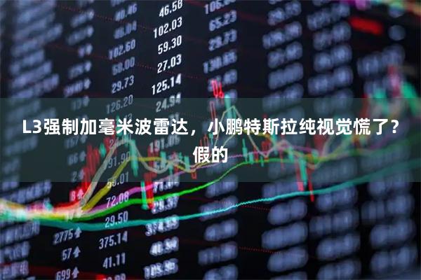 L3强制加毫米波雷达，小鹏特斯拉纯视觉慌了？假的